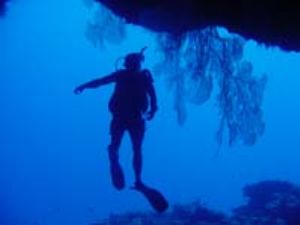 Bat Cave Saipan taken w/digital still by Martin Dalsaso 